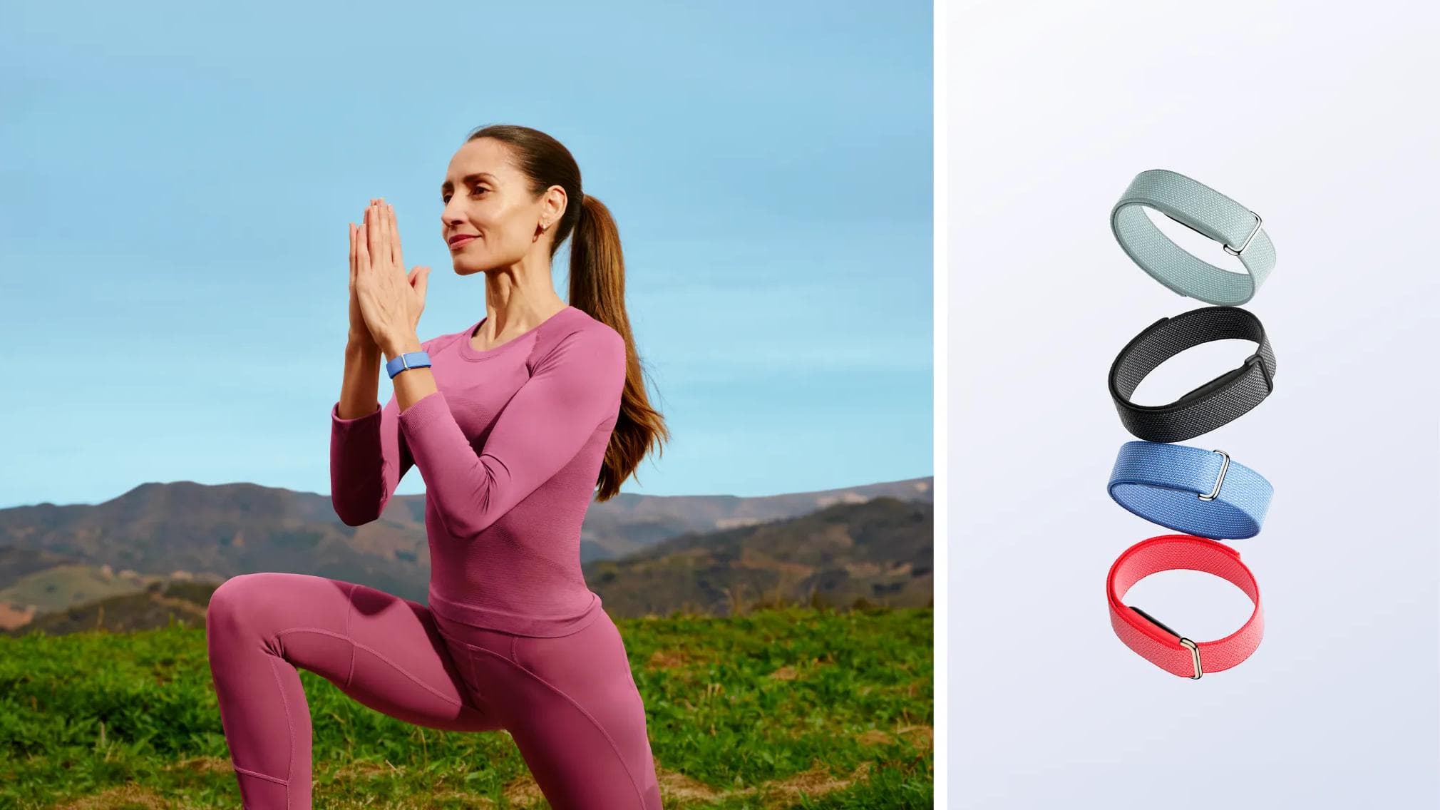 Fitbit Air